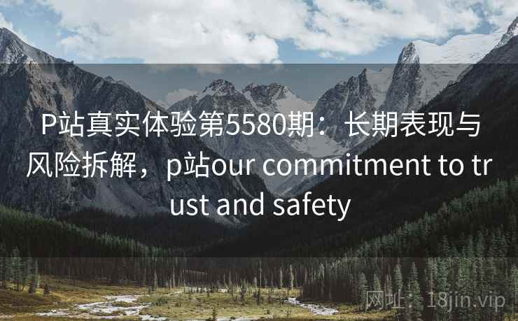 P站真实体验第5580期：长期表现与风险拆解，p站our commitment to trust and safety
